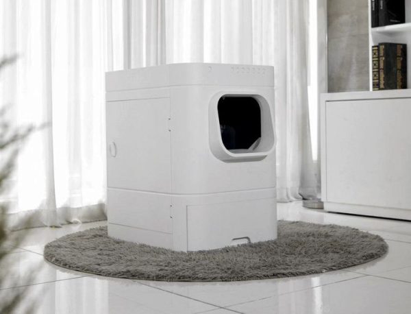 Cat House for sale